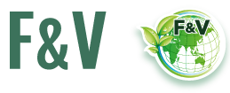 Canvas Logo
